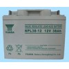 NPL38-12汤浅（长寿命）蓄电池河北商家报价