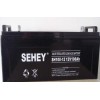 西力蓄电池SH100-12系列（张家界）地区供应