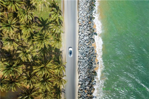 1672206825871056260.jpg 图片8.jpg